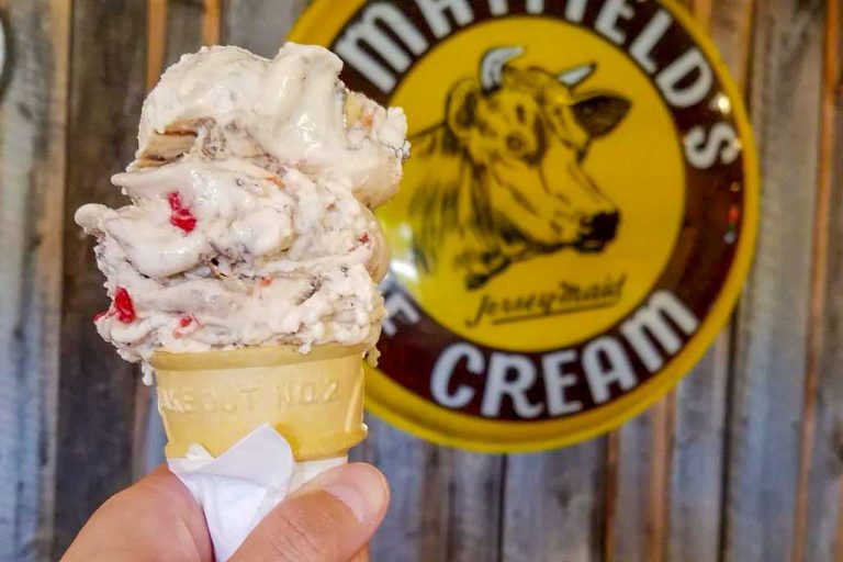 Top 10 Most Expensive Ice Cream Brands in World 2024