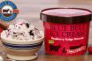 Top 10 Most Expensive Ice Cream Brands in World 2025
