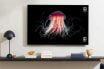Luxury TV 2025 in the World with Surprising Details
