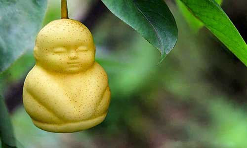 most expensive fruits