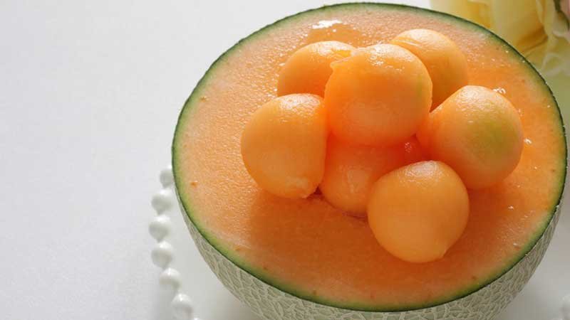 most expensive fruits in the world: yubari king melon
