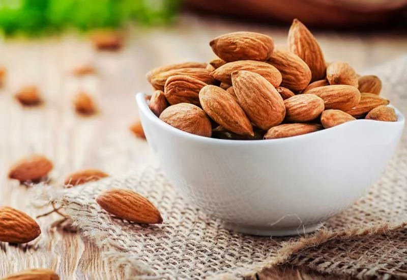 what human foods can puppies eat: almond