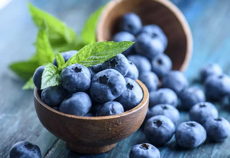 what human foods can puppies eat: blueberries