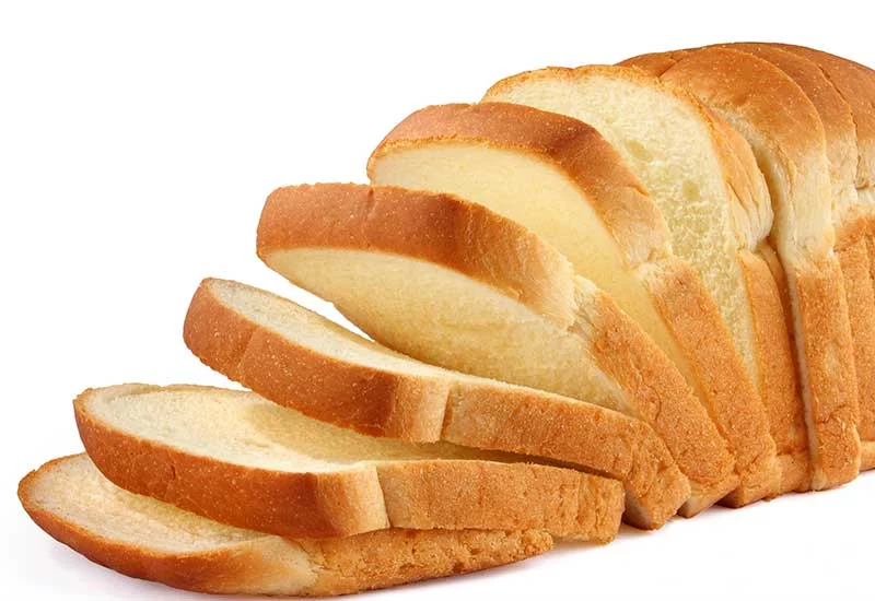 what human foods can puppies eat: bread