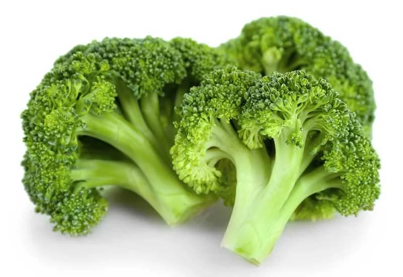 what human foods can puppies eat: broccoli