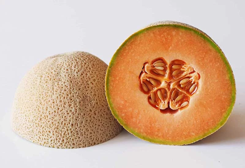 what human foods can puppies eat: cantaloupe