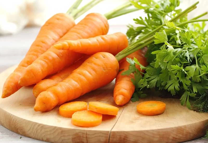 what human foods can puppies eat: carrots