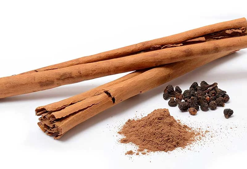 what human foods can puppies eat: cinnamon