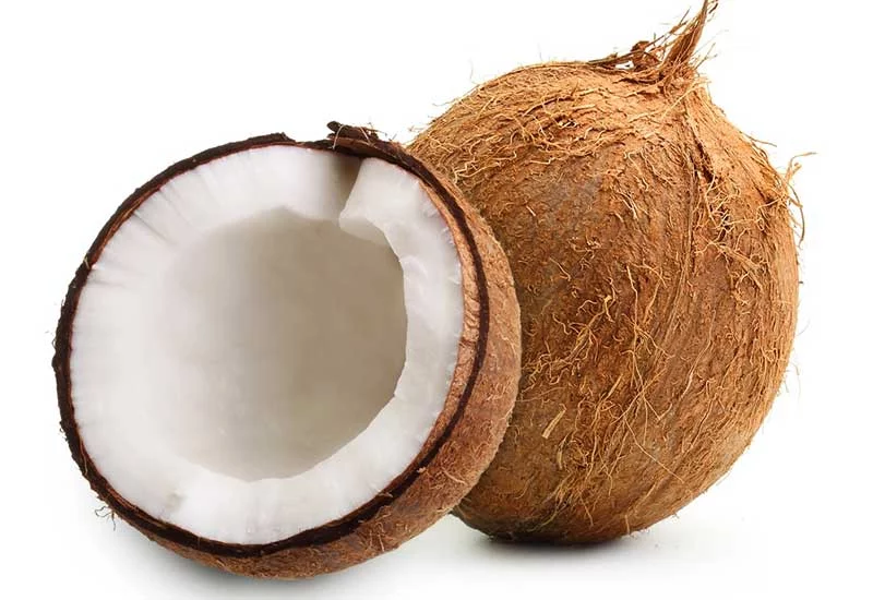 what human foods can puppies eat: coconut