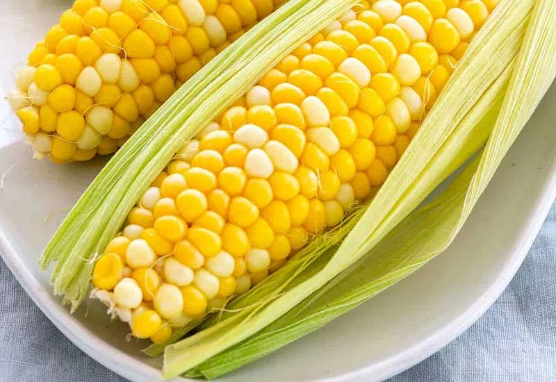 what human foods can puppies eat: corns