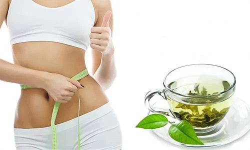 Does Green Tea Help you Lose Weight?