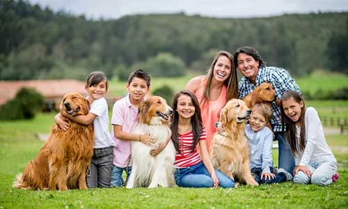 20 Best Dogs for Large Family & Kids 2025