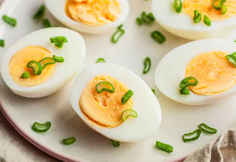 what human foods can puppies eat: eggs
