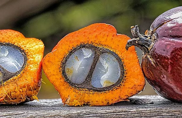 Is Palm Oil Bad For Your Heart?
