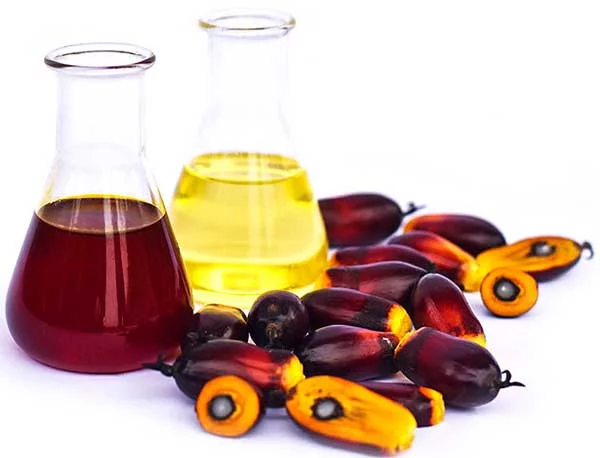 Is Palm Oil Good For You