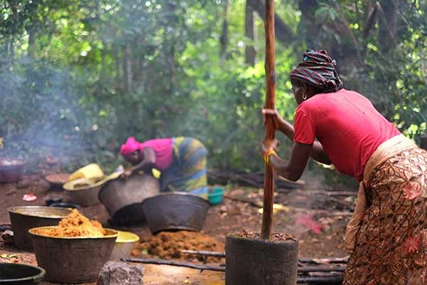 Is there a way to avoid using harmful palm oil?