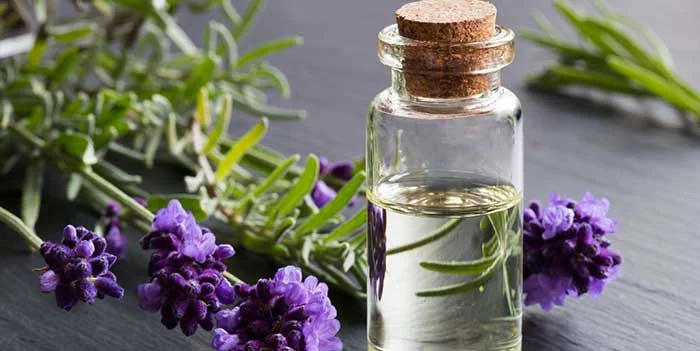 Essential oils for post nasal drip: Lavender oil