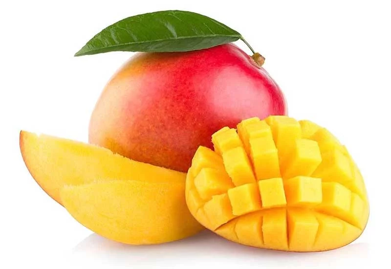 what human foods can puppies eat: mango