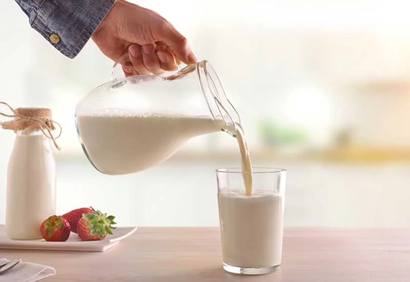 what human foods can puppies eat: milk