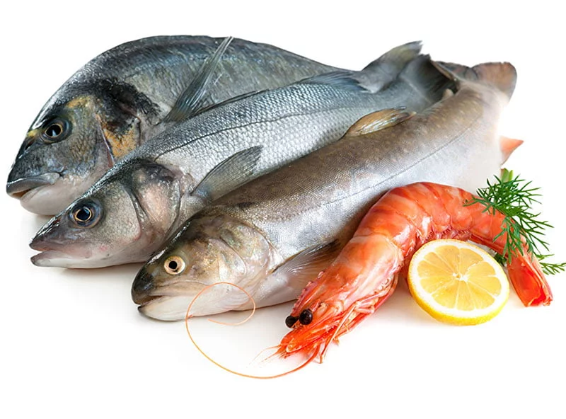 Does Fish Make You Gain Weight?