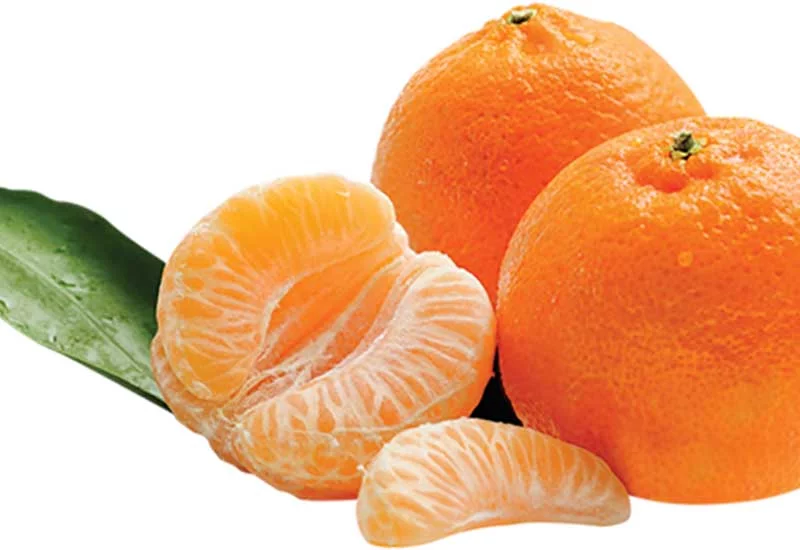 what human foods can puppies eat: orange