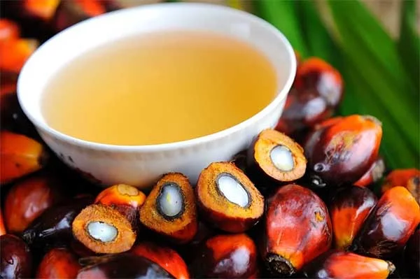Palm Oil Good Or Bad