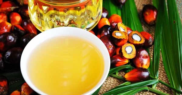 Palm Fruit Oil Vs Palm Oil