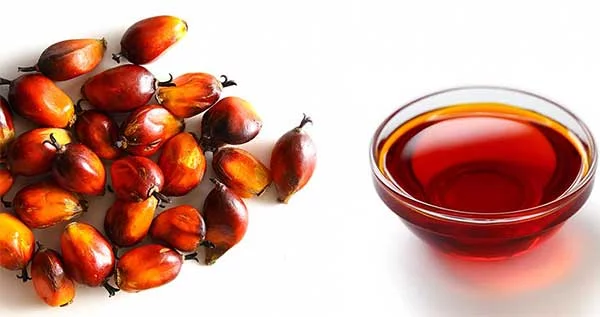 Palm Oil Nutrition