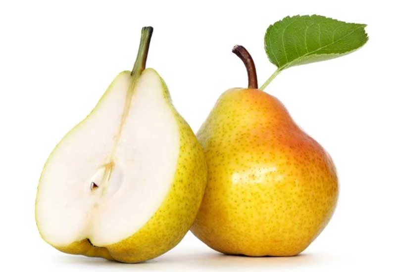 what human foods can puppies eat: pear