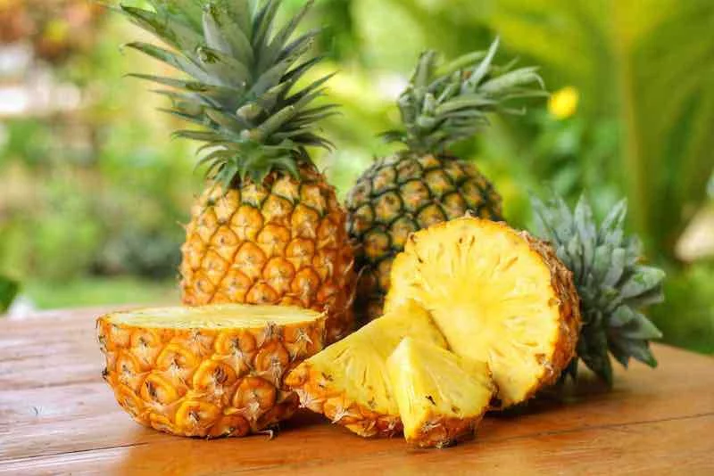 what human foods can puppies eat: pineapple