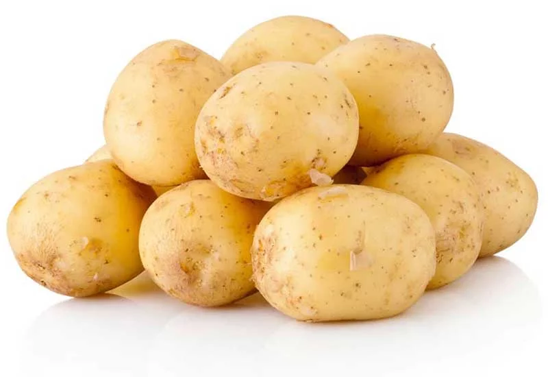 what human foods can puppies eat: potatoes