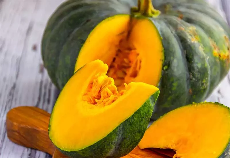 what human foods can puppies eat: pumpkin