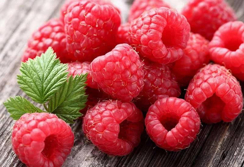 what human foods can puppies eat: raspberry