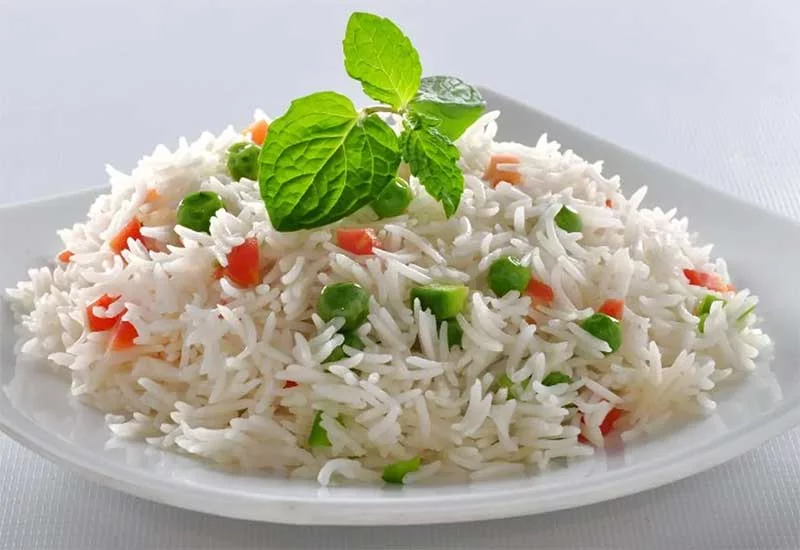 what human foods can puppies eat: rice