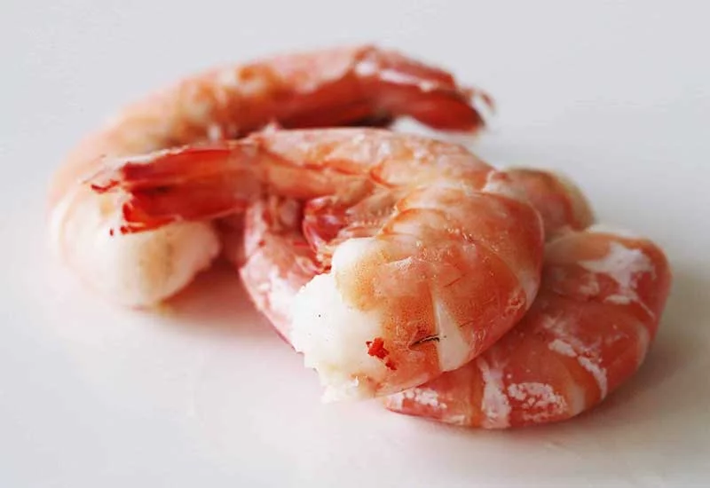 what human foods can puppies eat: shrimp