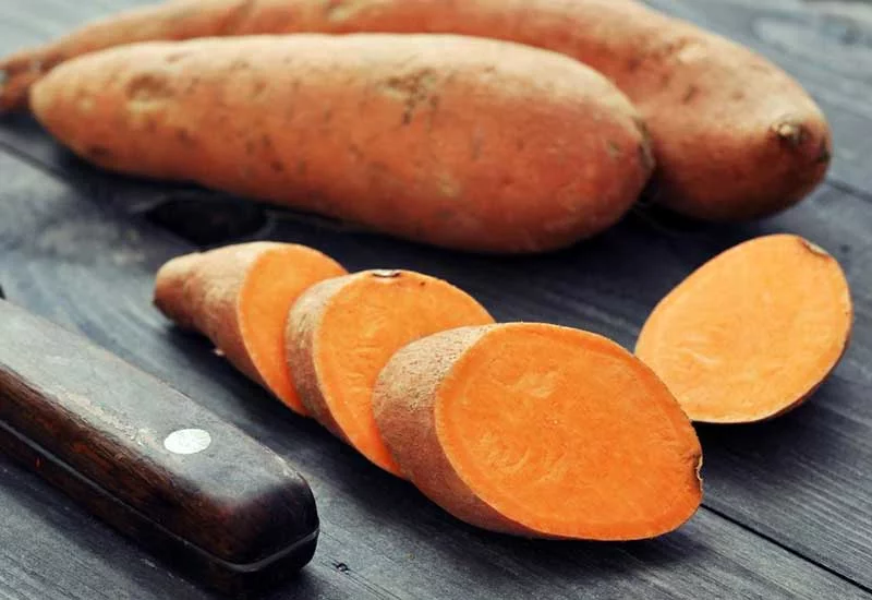 what human foods can puppies eat: sweet potato