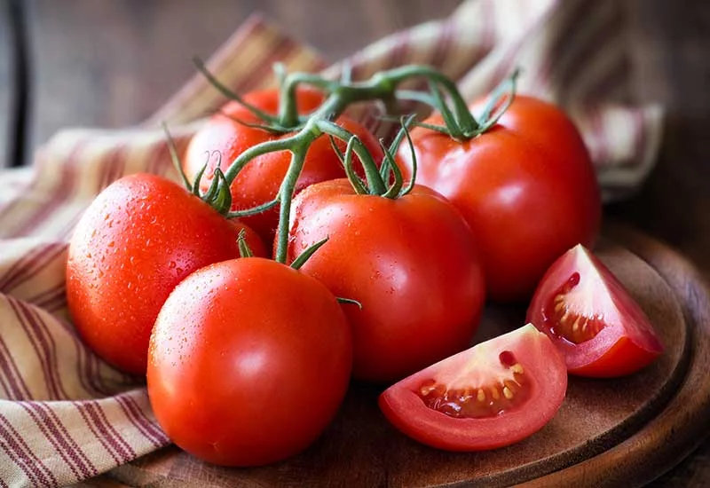 what human foods can puppies eat: tomatoes