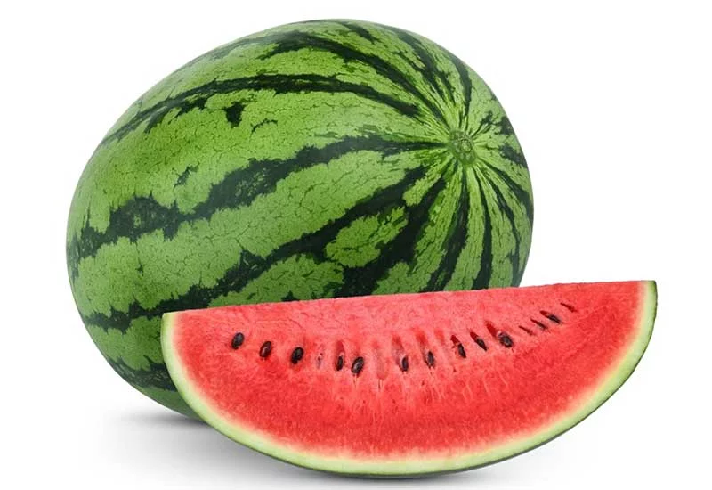 what human foods can puppies eat: watermelon