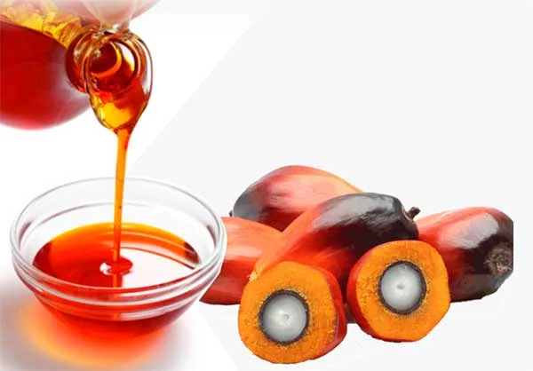 Why Palm Oil is Bad: What Is Palm Fruit Oil