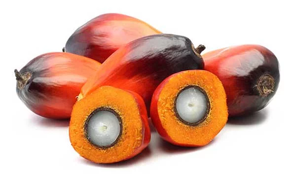 Why Palm Oil is Bad? What Is Palm Fruit?