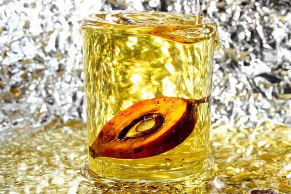 Why Palm Oil is Bad: What Is Palm Oil Used For