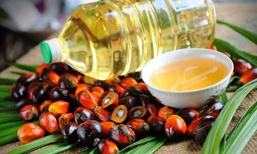 Why Palm Oil is Bad? 9 Health Dangers and 5 Benefits