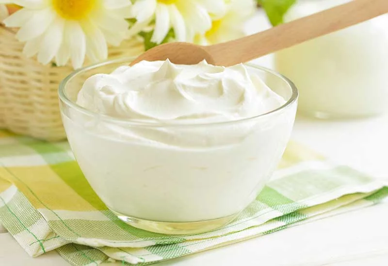 what human foods can puppies eat: yogurt