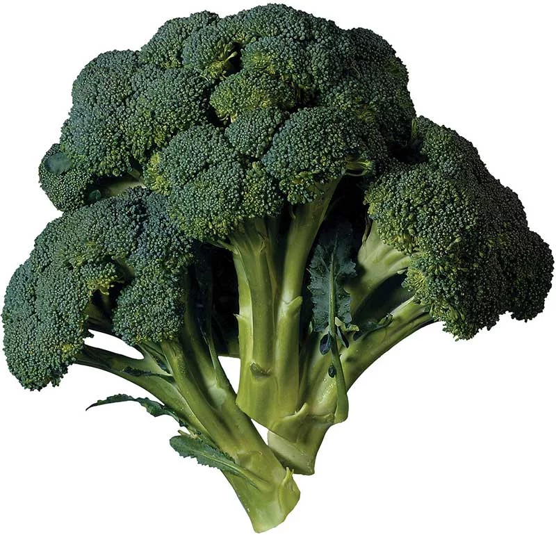 top 10 low calorie foods