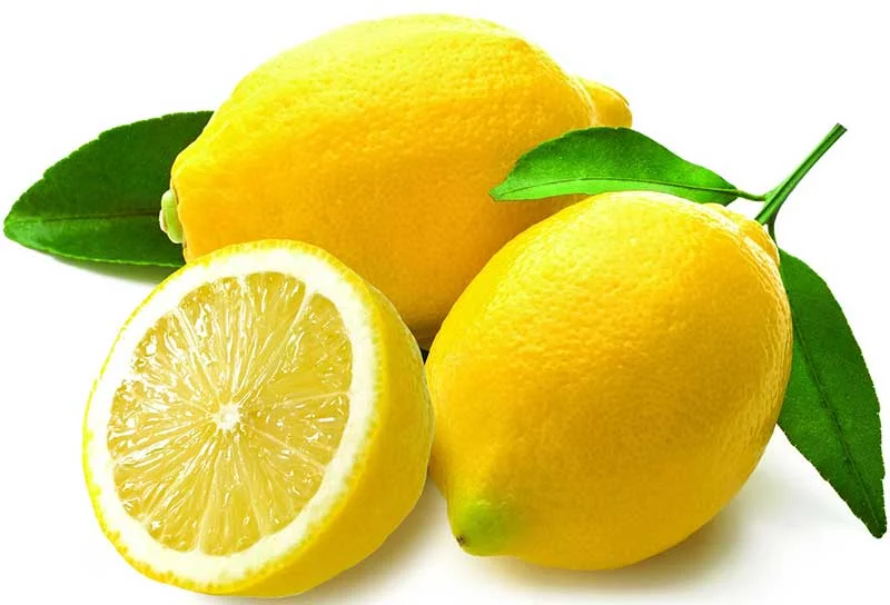 low calorie list of foods