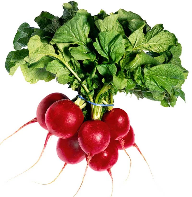 low calorie list of foods 2025