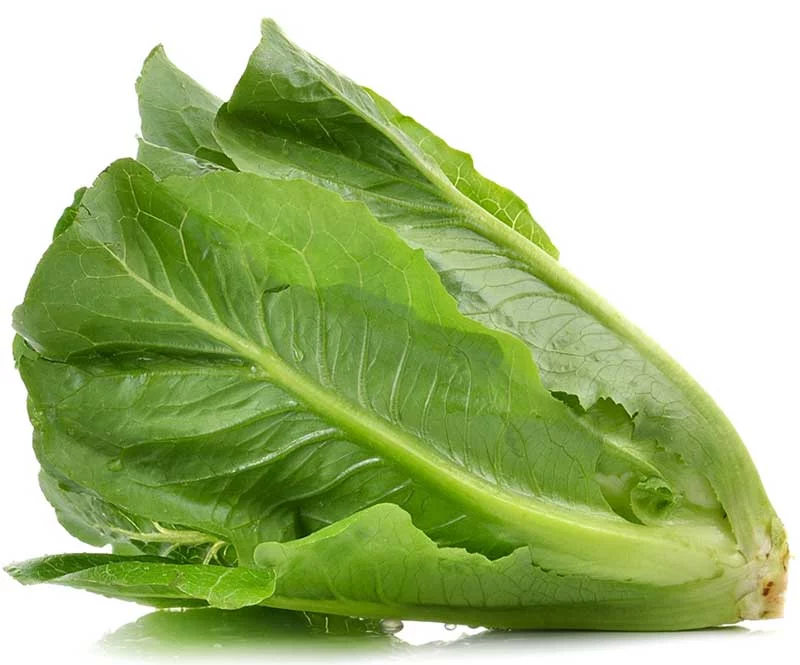low calorie list of foods