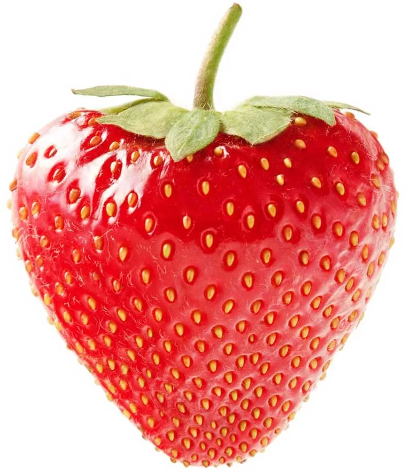 top 10 low calorie foods