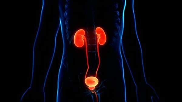 Complications Associated with Bladder Sling Procedures: Bladder Perforation Complications Associated with Bladder Sling Procedures: Bladder Perforation