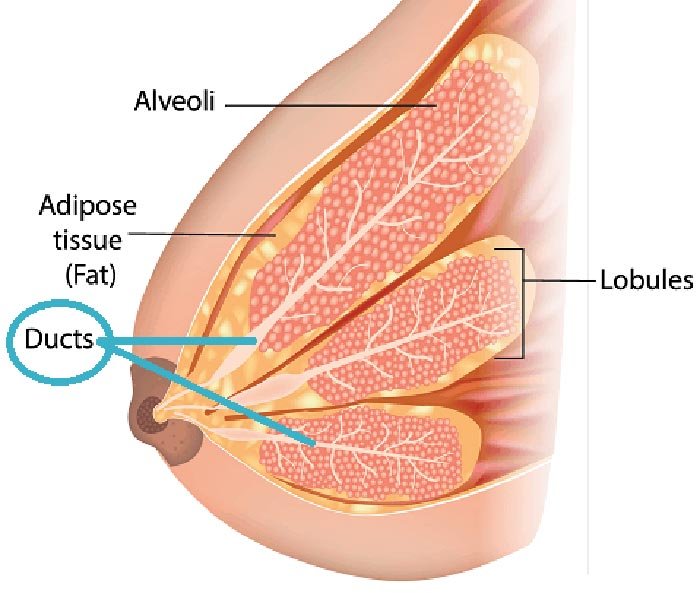 Sharp Pain in Breast while Breastfeeding: Clogged milk ducts